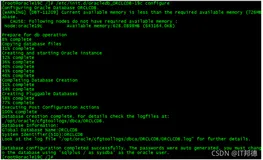 Docker中使用rpm包的方式安装Oracle 19c