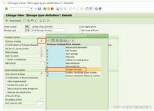 SAP WM高阶之上架策略P(Storage Unit Type)