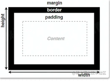 【青训营】CSS（四）