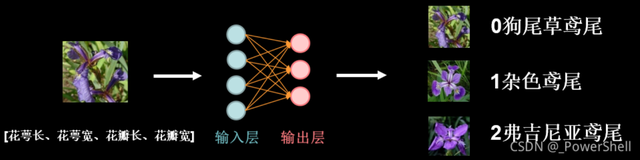 [python] 深度学习基础------人工神经网络实现鸢尾花分类(二)