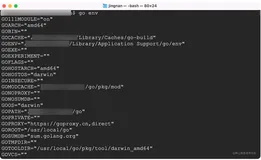 Go 编程 | 连载 21 - Go Modules 和 Package