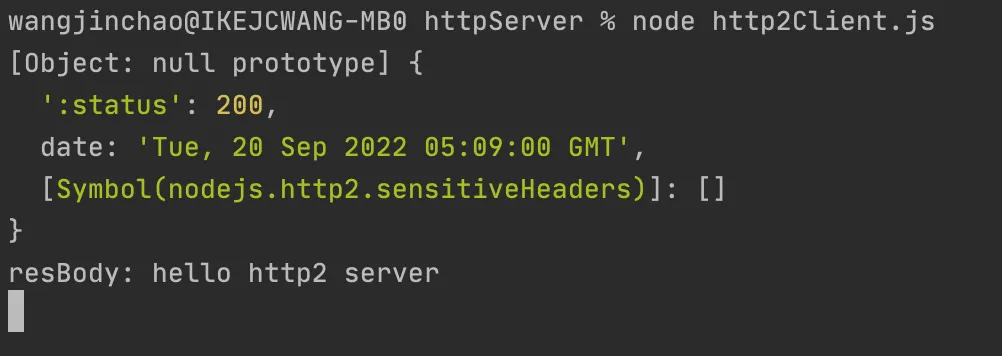 http2client终端.png