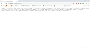 JavaWeb实体类转为json对象