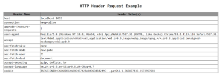 使用jsp打印HTTP请求头部所有字段的值