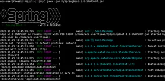 ECS体验-飞天加速计划