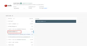 Docker安装redis