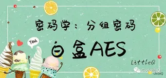 【密码学】一文读懂白盒AES(Chow方案)(一)