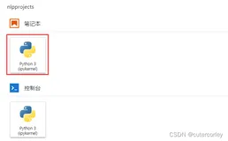 Jupyter Lab设置切换虚拟环境
