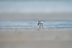 VS Code 是如何优化启动性能的？