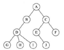 【数据结构和算法】树的特点&树的存储结构&二叉树的遍历与创建&二叉树的高度节点计算