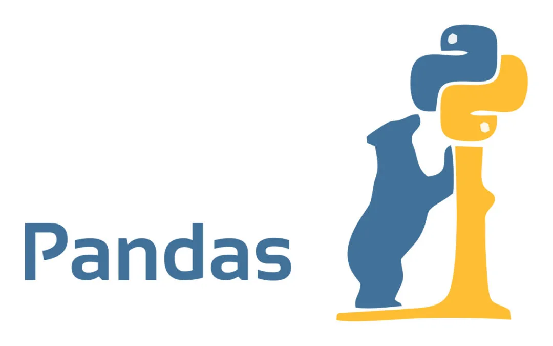 Pandas高级数据处理:大数据集处理