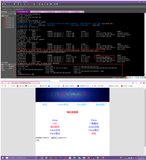 Docker数据volume配置详解及案例应用（四）