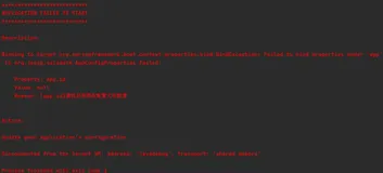 SpringBoot 开发秘籍 - 启动时配置校验
