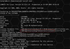 Oracle 数据库监听日志过大，怎么清除？
