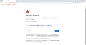 您的连接不是私密连接 