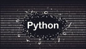 Python迎来30岁生日，先驱Pablo Galindo：没想到Python这么流行