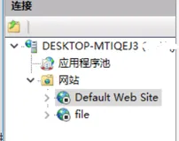 IIS404现象解决办法之一：更换IIS的端口