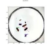 [Paddle2.0学习之第三步]目标检测（下）AI识虫实战