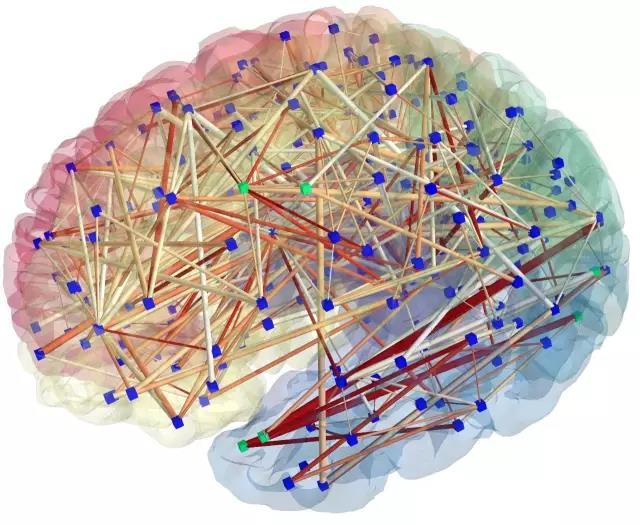 新框架SyConn利用卷积神经网络和随机森林阅读神经成像：可识别线粒体和突触等