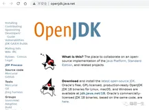甲骨文严查Java授权，换openJDK要避坑