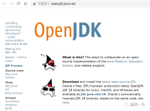 甲骨文严查Java授权，换openJDK要避坑