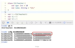 Swift-进阶 05：内存管理 & Runtime