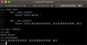 一日一技：怎么你的字符串跟我不一样