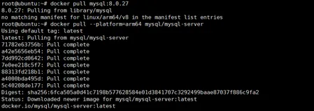 树莓派4B使用Docker部署SpringBoot项目——（二）使用docker安装mysql
