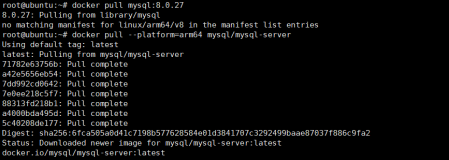 树莓派4B使用Docker部署SpringBoot项目——（二）使用docker安装mysql