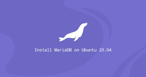 如何在 Ubuntu 20.04 上安装 MariaDB