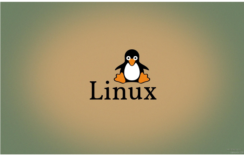 Linux - 内存性能评估