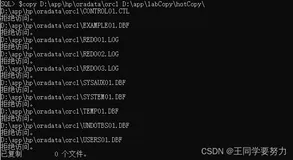 【Oracle】sqlplus 复制数据文件时出现拒绝访问