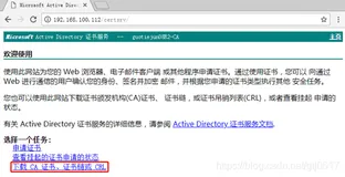 Windows server配置生成认证证书（下）