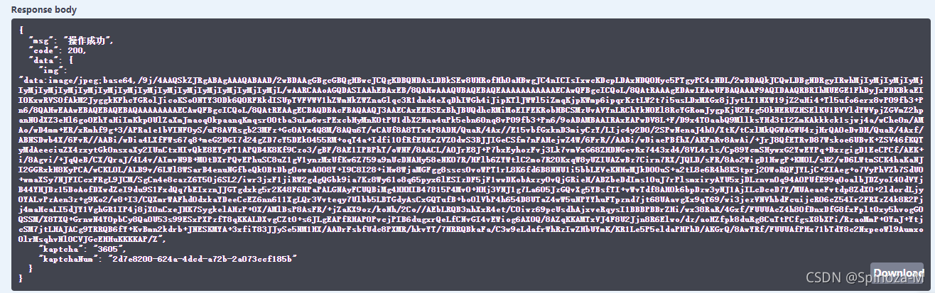 springboot用户登录使用验证码