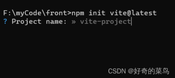 使用npm构建vite+vue+ts项目的两种方式