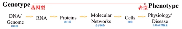 【带你入门生信】什么是生物信息学