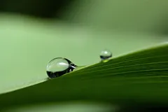 CPU 隔离：简介