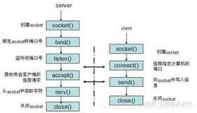 【计算机网络-网络层】知识总结-快速入门