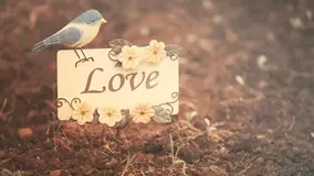 C#（十六）之C#类中的成员属性 构造函数 析构函数