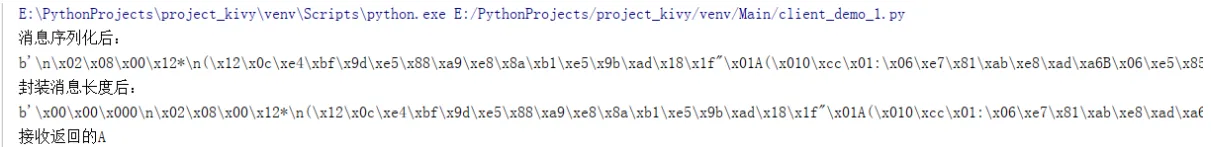 Google protobuf在python中的应用研究