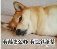 面试必问的 Redis：RDB、AOF、混合持久化