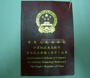 国家计算机系统分析师考试，论文的所有题型