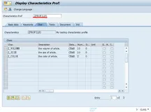 SAP RETAIL 特征参数文件(Characteristic Profile) II