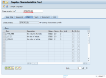 SAP RETAIL 特征参数文件(Characteristic Profile) II
