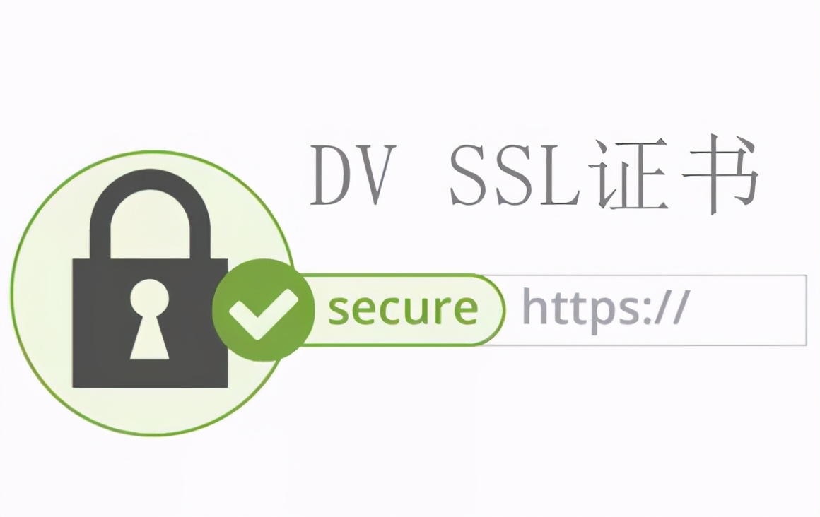 DV 多域名 SSL证书