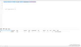 为什么就查了一行数据，执行那么慢？