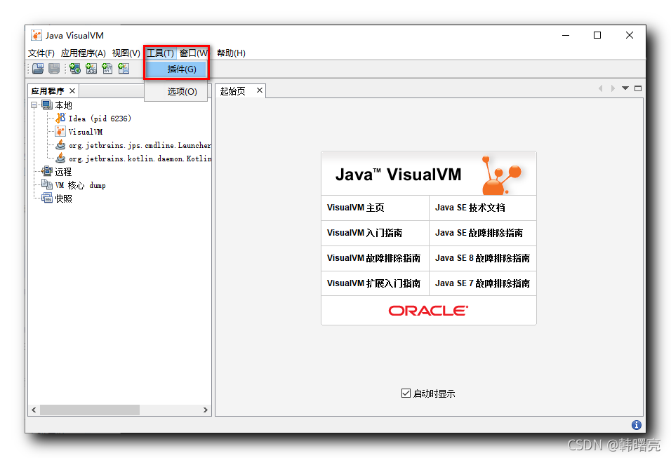 【Java 虚拟机原理】垃圾回收算法( Java VisualVM 工具 | 安装 Visual GC 插件 | 使用 Java VisualVM 分析 GC 内存 )