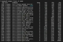 Linux内存管理神器：smem工具