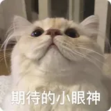 业界总结 | BERT的花式玩法（一）