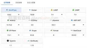 阿里云轻量应用服务器系统镜像核应用镜像有什么区别？